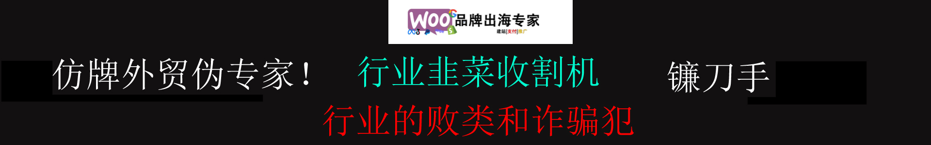 仿牌外贸建站伪专家-黑心韭菜收割机,当了婊子还立牌坊!