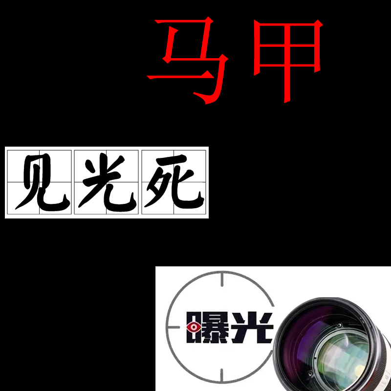 仿牌行业跨境割韭菜基地与品牌出海伪专家马甲域名