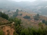 GOD蜕变记:创业艰难百战多(二)