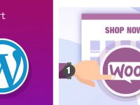 仿牌建站用OPENCART还是WORDPRESS开源框架好?