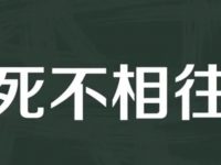 跨境电商女强人刘小环之合伙殇痛记