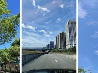 七月流火,跨境鸡娃人复盘总结