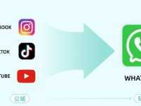 仿牌跨境电商外贸生意想靠一招吃遍天下?得了吧......