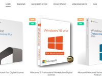 仿牌独立站之WINDOWS操作系统虚拟品类目