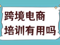 仿牌跨境电商独立站,纯培训和教程,大多数无用
