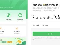 莆、广系仿牌跨境电商中西联、速汇金与WISE收款