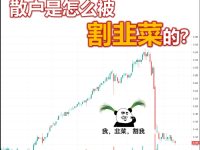 两耳不闻A股事,只做跨境电商人。