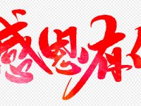 公众号一周年，感恩有你，一路相伴，一路生花