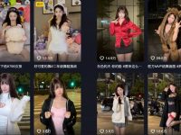 吴柳芳“擦边”女主播事件给跨境电商人带来的深思