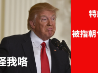 我裤子都脱了,你就给我看这个?戏精特朗普耍了所有跨境电商人。