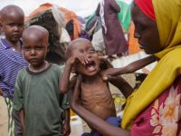 仿牌跨境电商,金色非洲正在崛起。