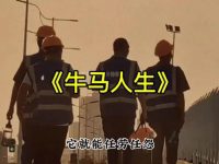 在莆、广系跨境电商这个行业,我看到了牛马的百态人生。